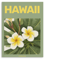 041d2b5e-7a55-4ed5-9527-0ab709945671