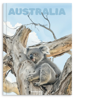 1fca852f-7199-4ef4-b3c1-e97788706f83