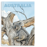 44bd47bc-34aa-4cec-9097-fedc1b5eb387